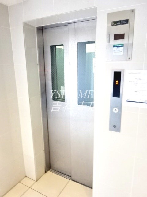 パインニードル その他10