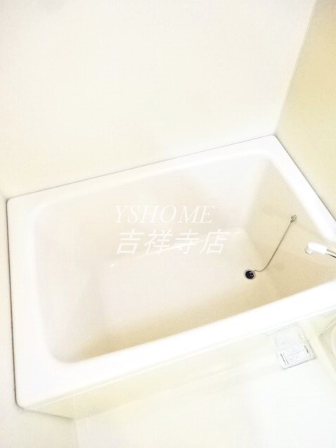 パインニードル その他11