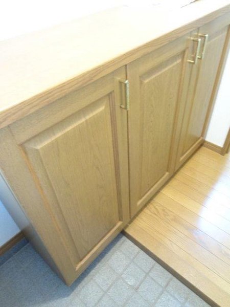 ノーブルヴィサージュ武蔵境 玄関