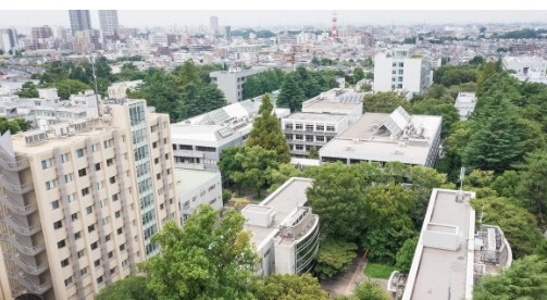 エバーグレース５４３ 周辺画像3