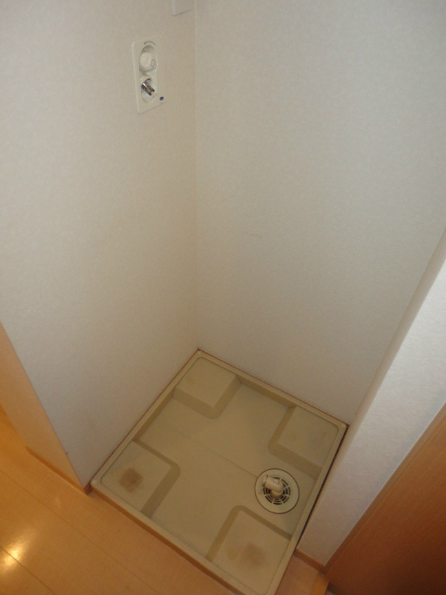 エレフセリア その他3