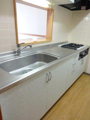 ブルーベリープレイス その他18