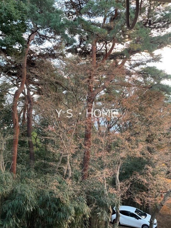 クラウディⅡ その他3