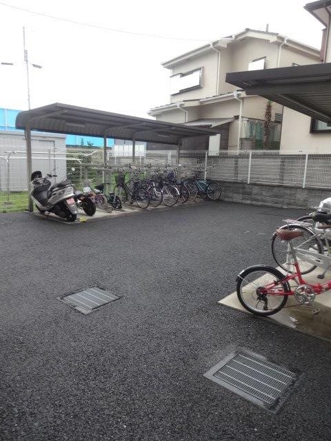 パインニードル　　 その他2