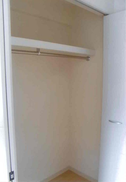 パインニードル　　 その他6