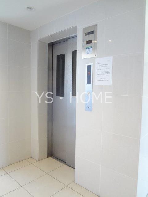 パインニードル　　 その他16