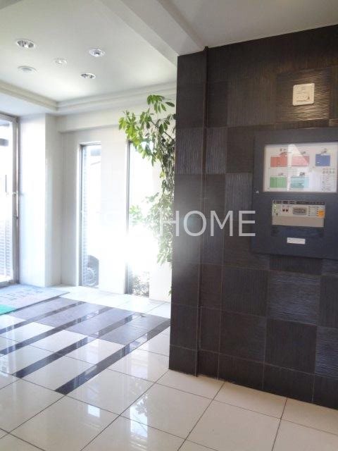 パインニードル　　 その他17