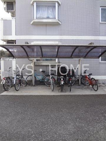 ドゥジェームニイヤ その他8