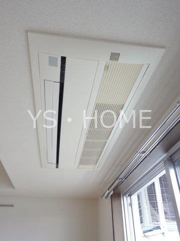 ドゥジェームニイヤ その他9