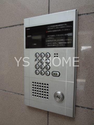 ドゥジェームニイヤ その他10