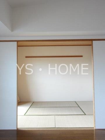 ドゥジェームニイヤ その他18