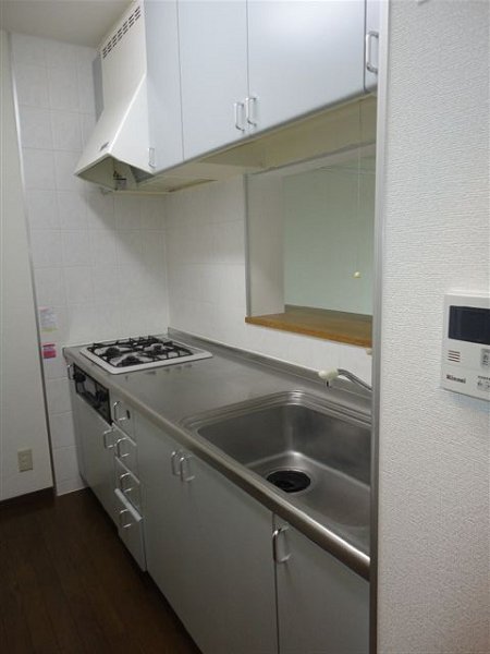 ドゥジェームニイヤ キッチン