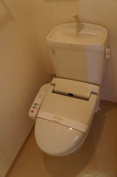 ノース　フェルト その他2