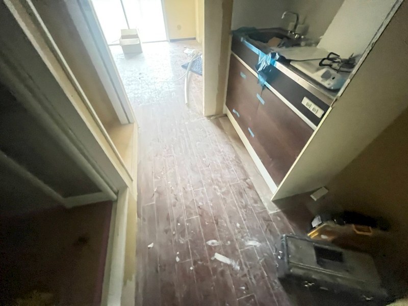 フラットイノカシラ その他10