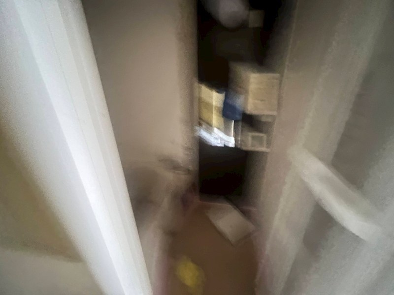 フラットイノカシラ その他11