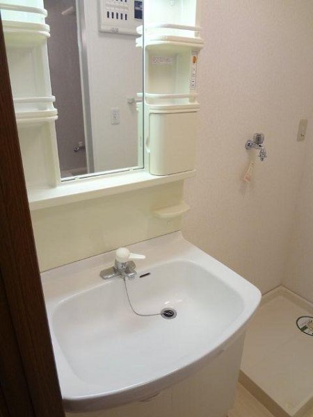 ヴァン・シャルマンＯＺ その他2