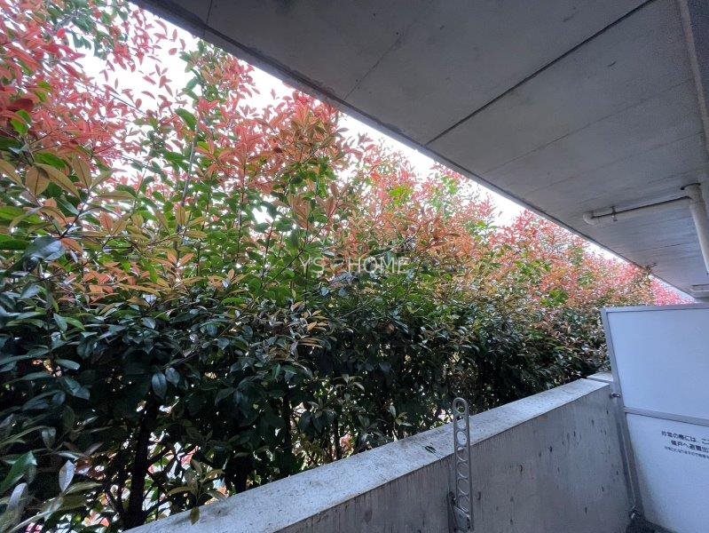 ル・ボワ武蔵境　 その他5