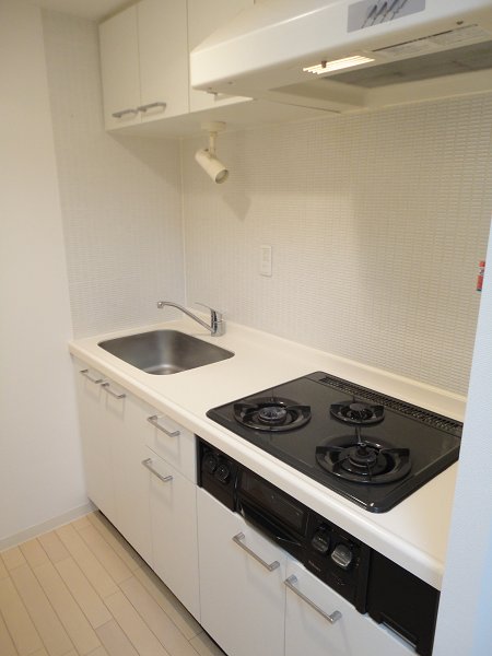 ビバリーホームズ吉祥寺 その他8