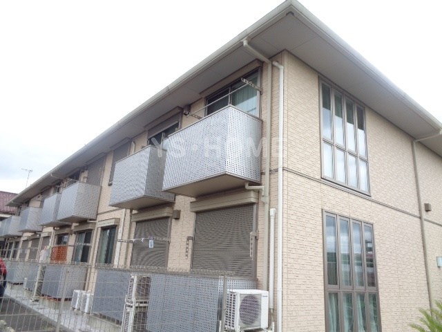 ペルショワール・ルリナ  その他9