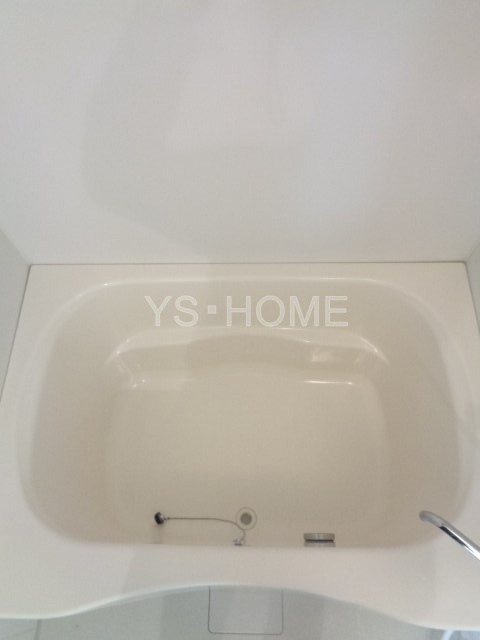 ペルショワール・ルリナ その他10