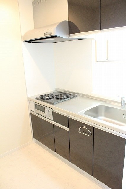 ペルショワール・ルリナ  その他11