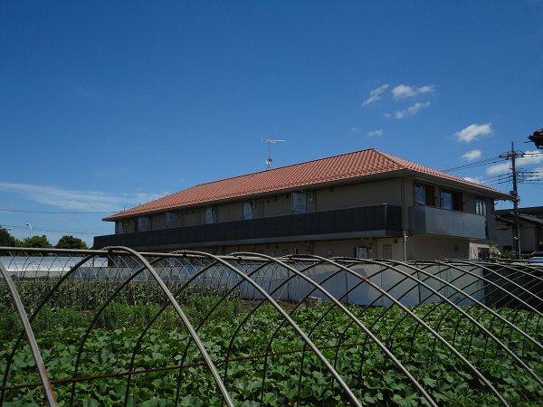 ペルショワール・ルリナ  外観