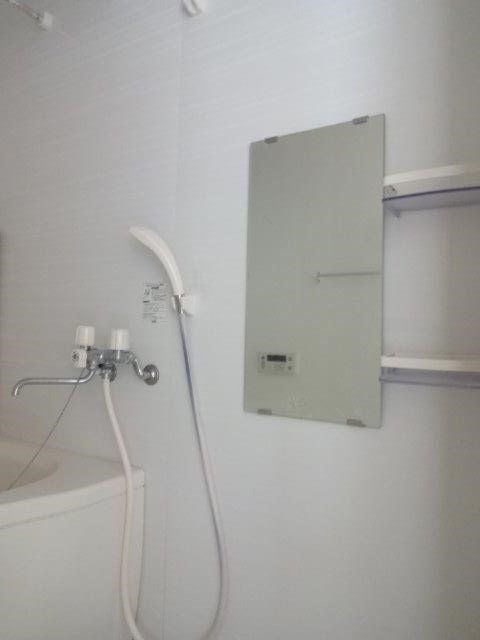 ペルショワール・ルリナ  その他8