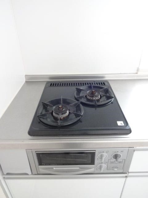 ペルショワール・ルリナ  その他10