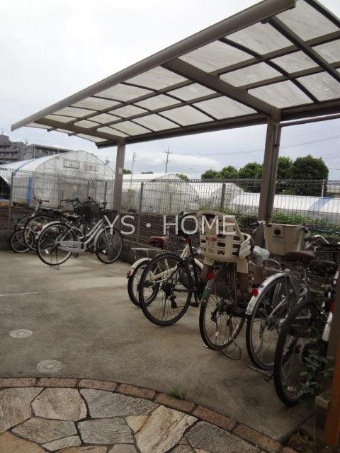 ペルショワール・ルリナ  その他18