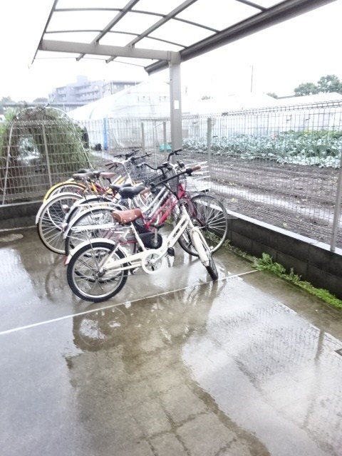 ペルショワール・ルリナ  その他8