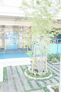 クリオ武蔵小金井フロントアベニュー その他外観6