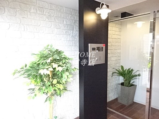 トラッセルズ その他2