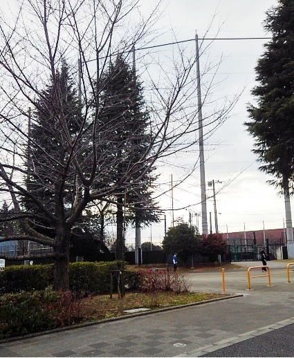 クリーン　シャトー富士見・第一 その他外観6