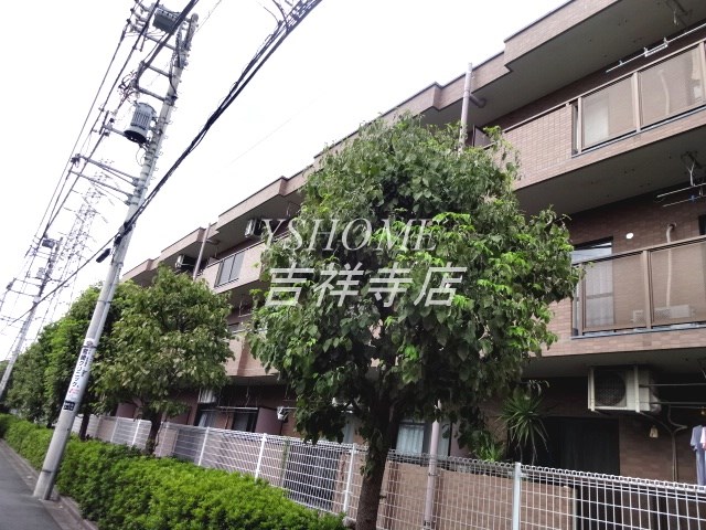 グランメール南善福寺 その他17