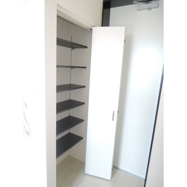 ステラフィールズⅡ  玄関