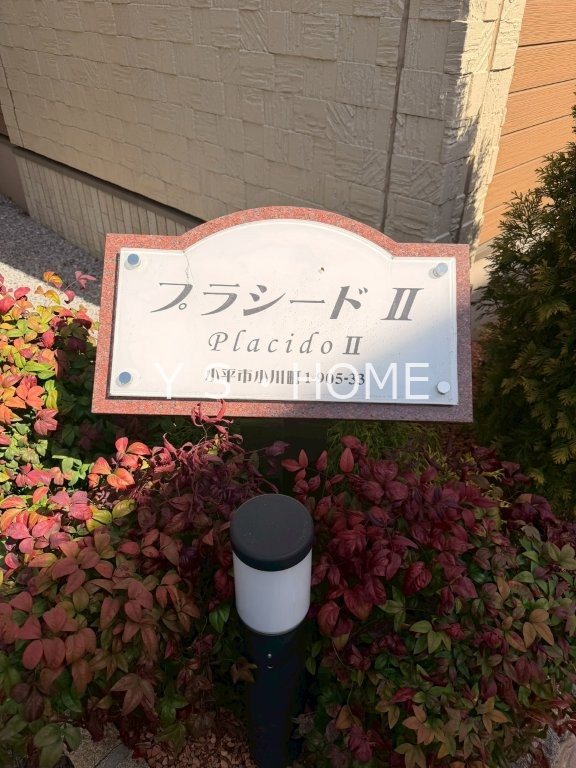 プラシード　Ⅱ その他6