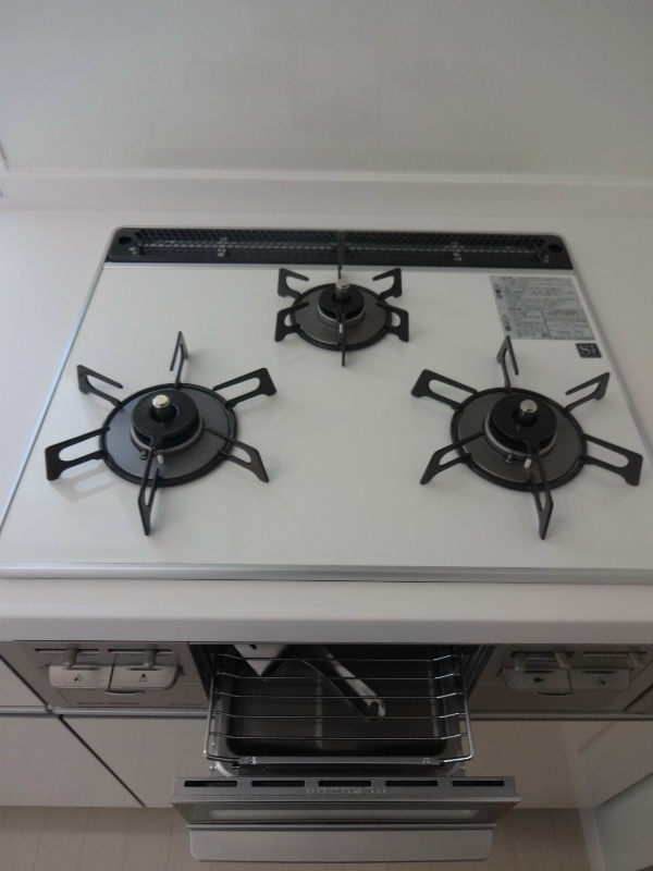 ヴィラ・カンターレ　 その他13