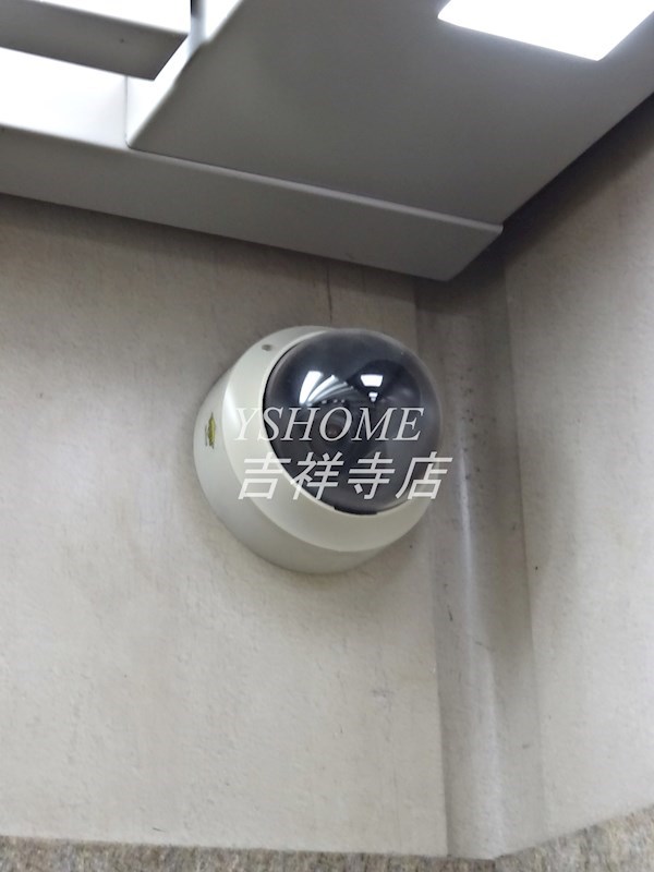 コート・イシハラ  その他14