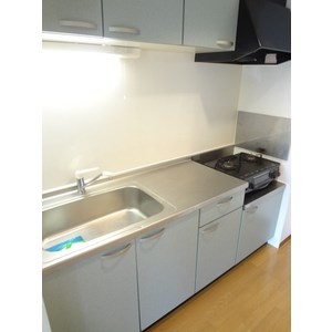 ヴィラ・フロレスタ その他12