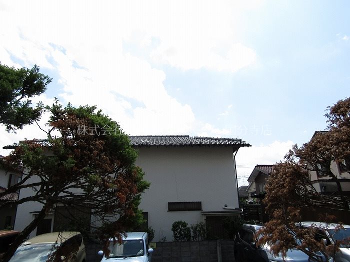 コーポシャイン その他1