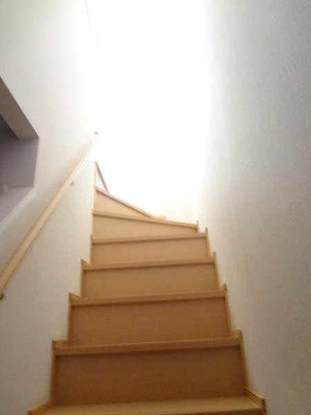 ナーセリーコート B         その他11