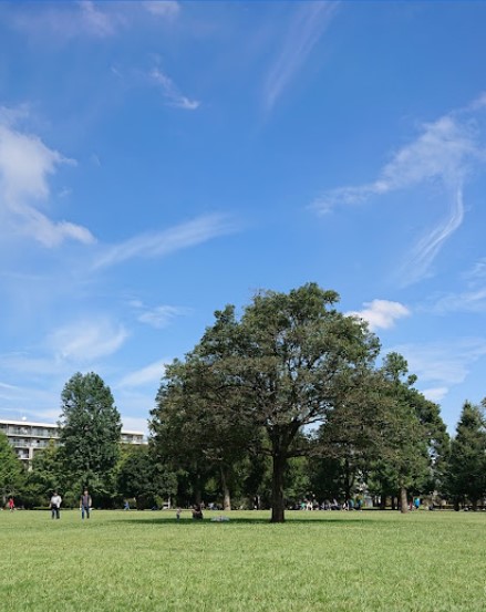メインステージ西国分寺壱番館 周辺画像5