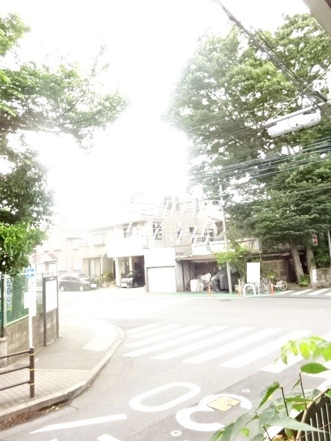 ウィステリア その他5