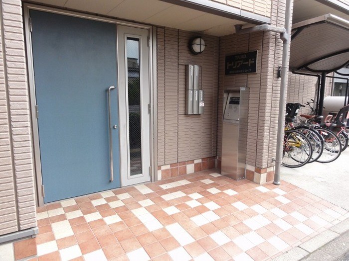 トリアード その他4