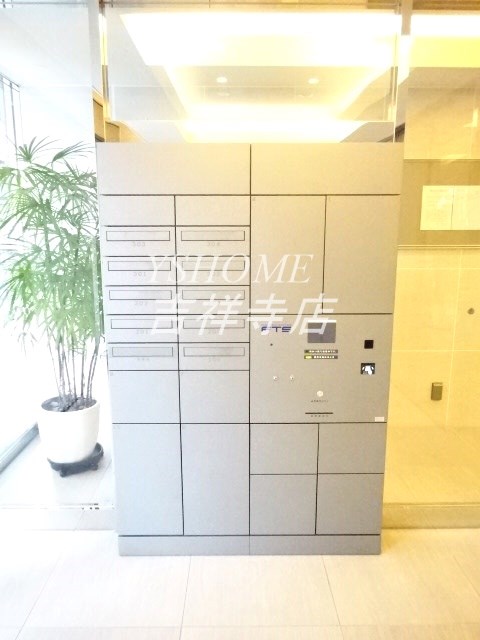 アルタマレア その他8