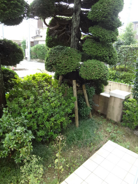 荻窪グリーンヴィレッジB棟 ベランダ