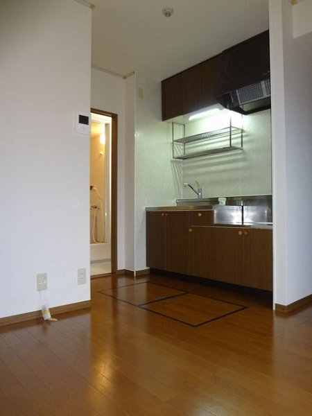 フレマリール国立 その他8