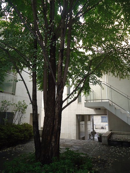 パティオＫ その他8