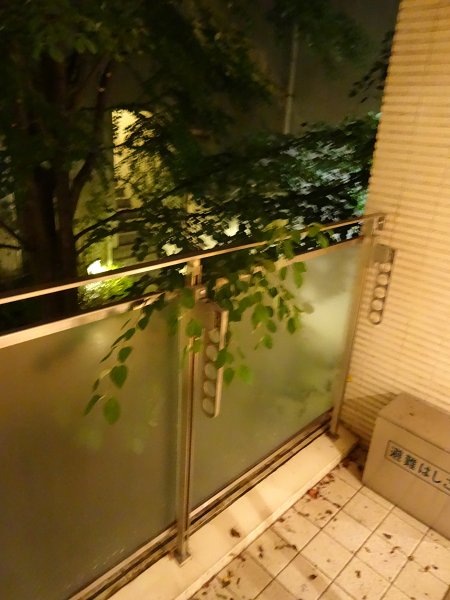 パティオＫ ベランダ