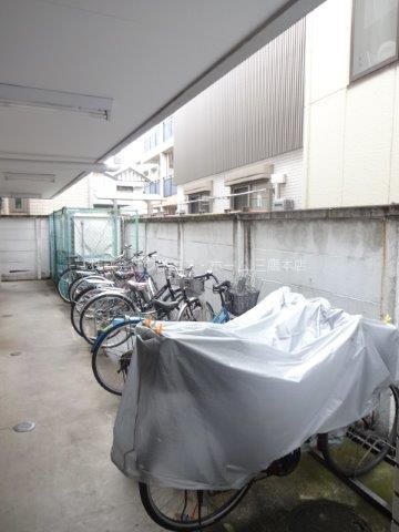 ブライト・ルシヨン その他2